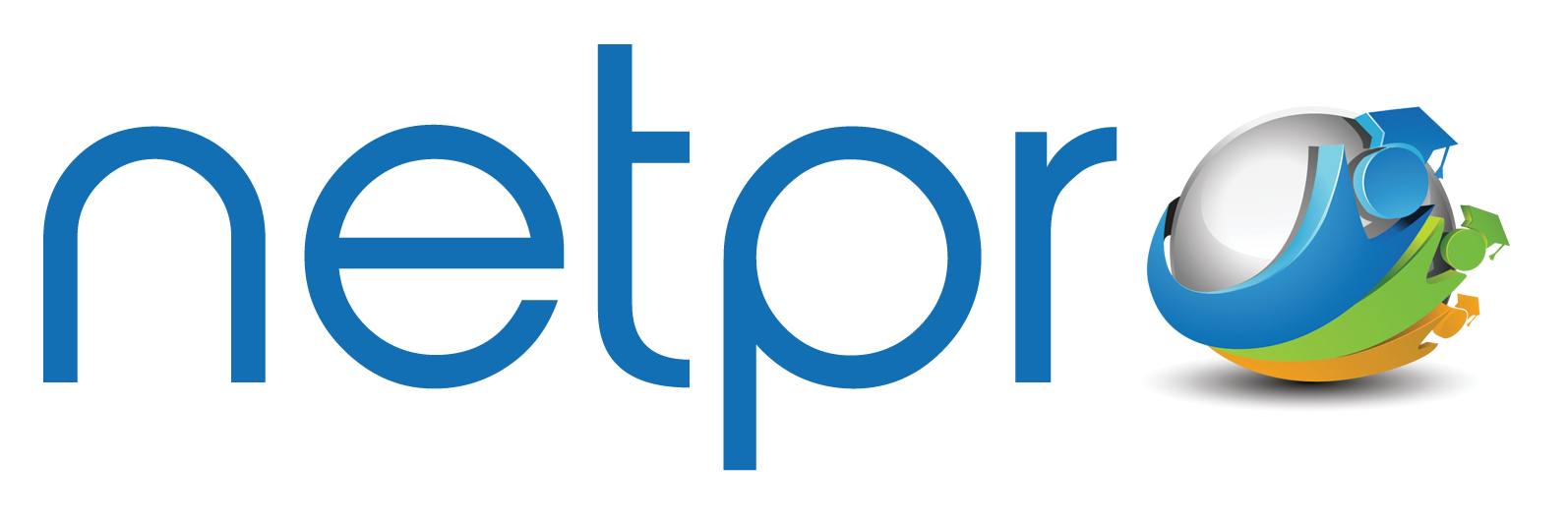 Netpro Logo